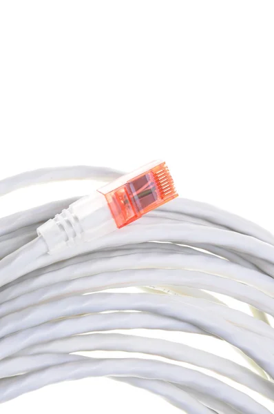 Cable de computadora de red — Foto de Stock