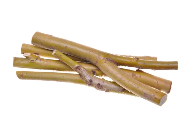 Sticks of willow — Stock Photo, Image