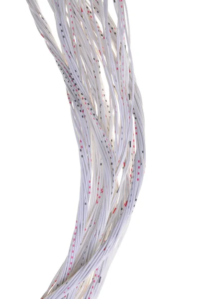 Számítógép hálózati kábel — Stock Fotó