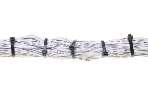 Computer network cable — Stock Photo, Image