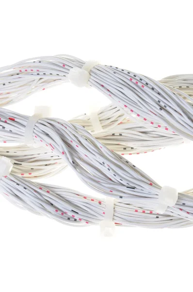 Computer network cable — Stock Photo, Image