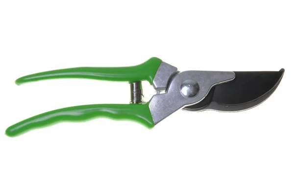 Garden pruner — Stock Photo, Image