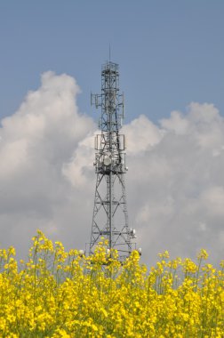 Telekomünikasyon kule tecavüz alan