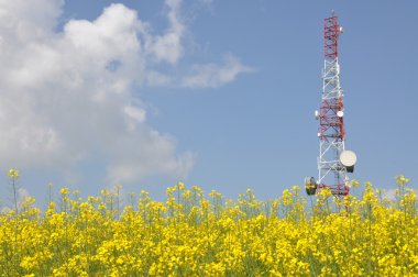 Telekomünikasyon kule tecavüz alan