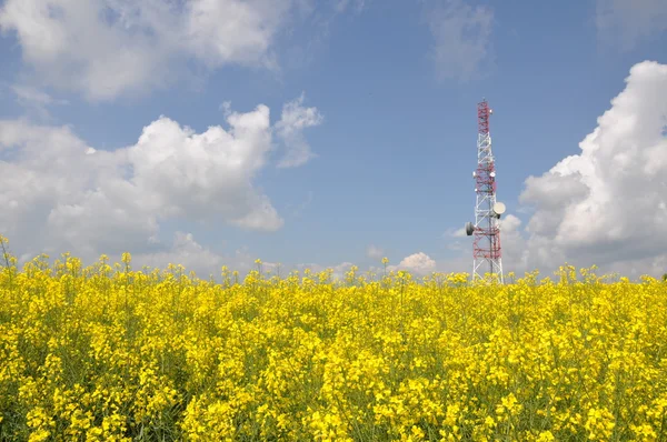 Torre de telecomunicações num campo de violação — Fotografia de Stock