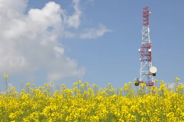 Telekomünikasyon kule tecavüz alan