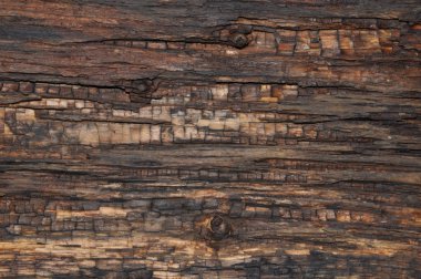 doku eski yönetim kurulu