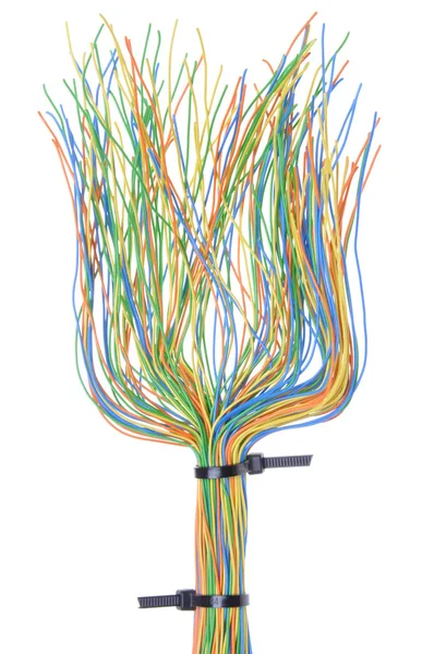 Multicolored telecommunication cables — Stock Photo, Image