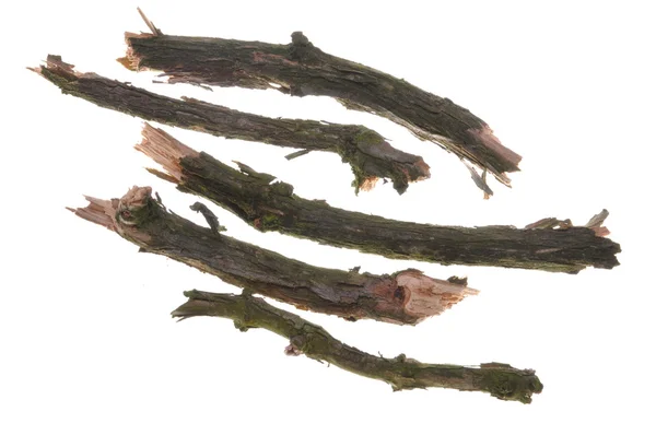 Dry twigs — Stock Photo, Image