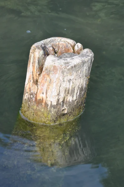 Poteau en bois dans l'eau — Photo