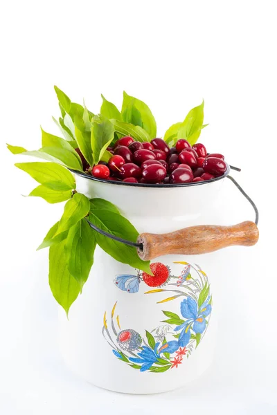 Bodegón Con Fruta Moras Maceta Aisladas Sobre Fondo Blanco —  Fotos de Stock