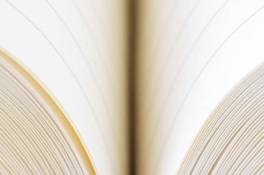 Açık Defter Günlüğünün Macro Görünümü 