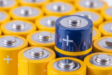Group of Alkaline Batteries size AA with selected one
