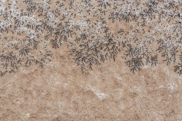 Dendrite Minerals Rock Stone Background — Stok fotoğraf