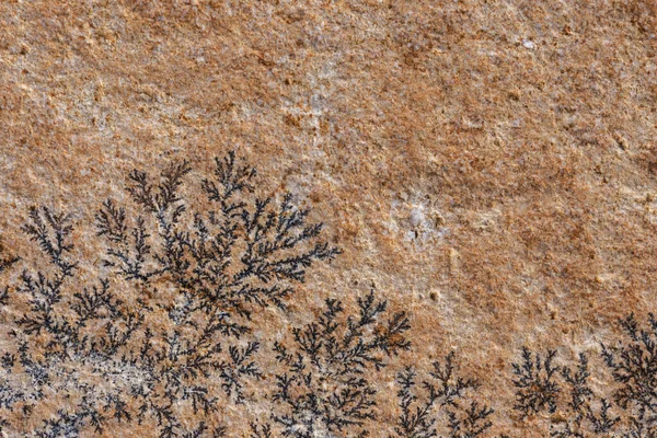 Manganese Dendrite Rock Stone Background — 图库照片