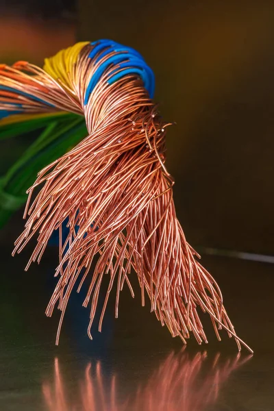 Cabos Cobre Elétricos Coloridos Despojados — Fotografia de Stock