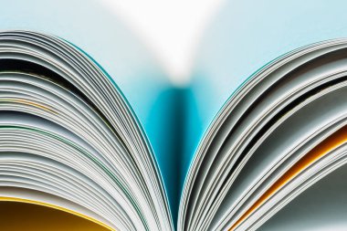 Bulanık arkaplan ile açılan kitap sayfalarını kapat