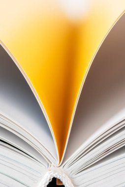 Bulanık arkaplan ile açılan kitap sayfalarının sınırı