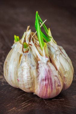 Tahta masa üzerinde tek sarımsak ampulü. Yakın plan.