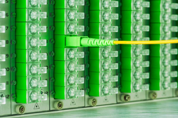 Fiber Optic Cable Connected to Distribution Frame of Passive Optical Network