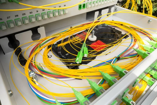 Cable Cable Conexión Fibra Marco Distribución Óptica — Foto de Stock