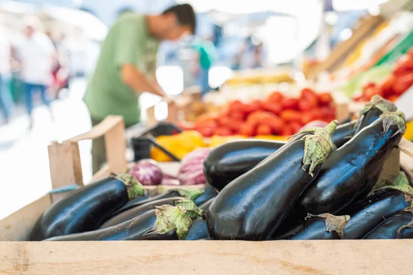 Fresh Eggplant Food Market Close Blurred Background — Fotografia de Stock