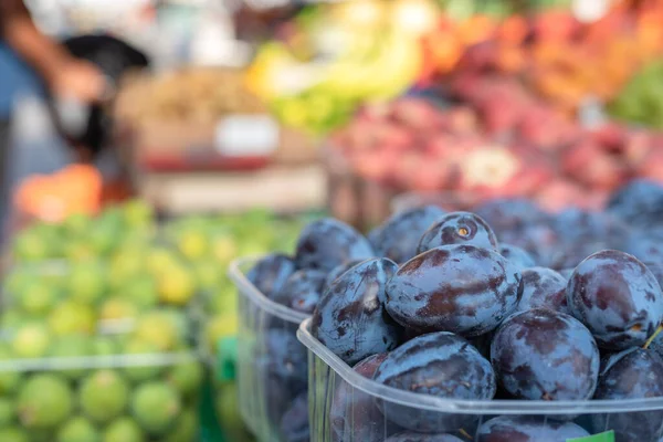 Close Fruit Plum Street Food Market Padova Italy — Stock fotografie