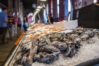 Octopus on venetian Rialto fish market, Venice, Italy 