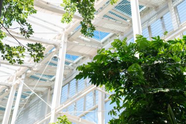 Greenhouse building botanical garden of Padua Italy 
