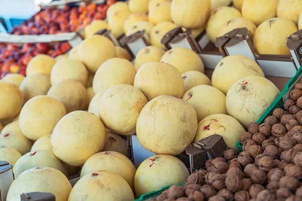 Cantaloupe Melon Food Market Padova Italy — Stockfoto