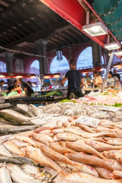 Stand with fresh fish on venetian Rialto market, Venice, Italy 