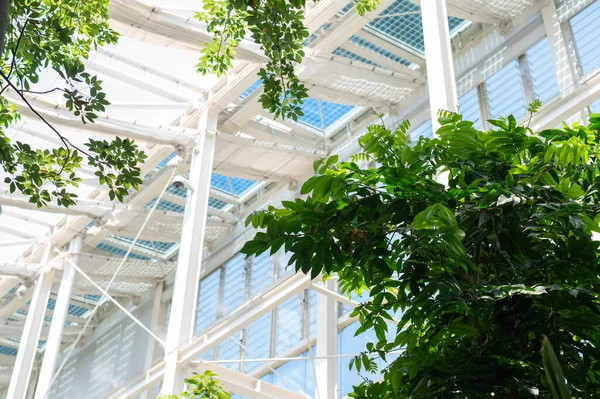 Greenhouse building botanical garden of Padua Italy 