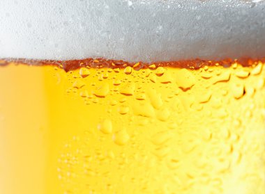 bir bira yakın çekim resim.