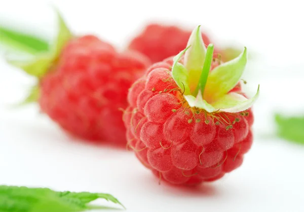 Himbeeren — Stockfoto