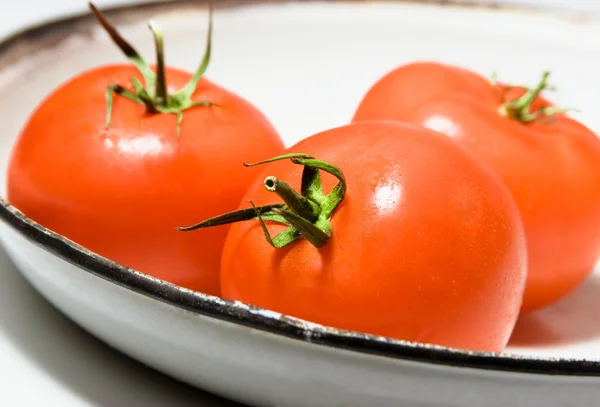 Three tomatoes on a plate — Stock Photo, Image