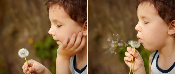 Child blowing a dandelion — Stock Photo, Image