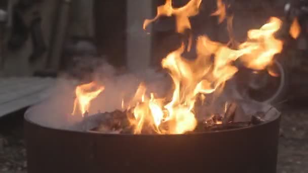 Videó Tűzről Lángról Tűz Egy Fémhordóban Tűzifa — Stock videók