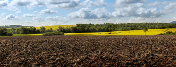 Våren Landskap Med Plowed Field Bakgrunden Vackra Blå Himlen Plöjad — Stockfoto