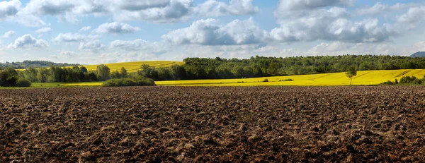 Paesaggio Primaverile Con Campo Incantato Sullo Sfondo Del Bellissimo Cielo — Foto Stock