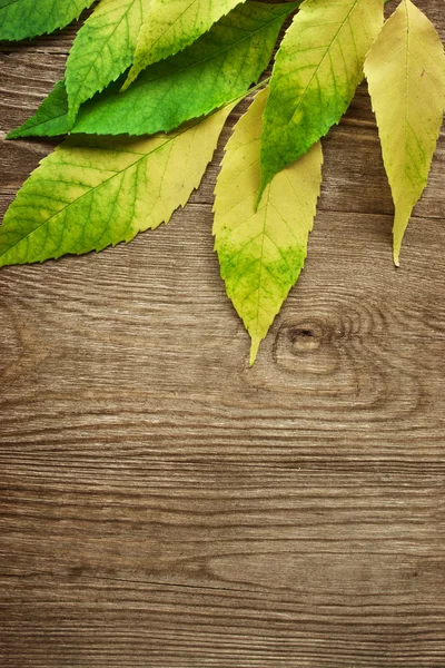 コピースペース付きの木製の背景に秋の葉 — ストック写真