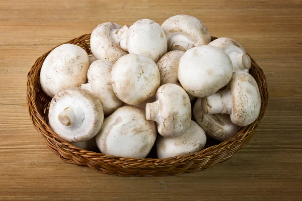 Cogumelos frescos em uma cesta — Fotografia de Stock