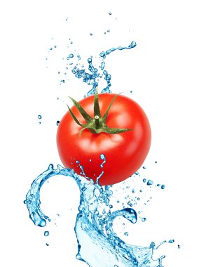 Beyaz arka plan üzerinde izole su sıçrama üzerinde domates