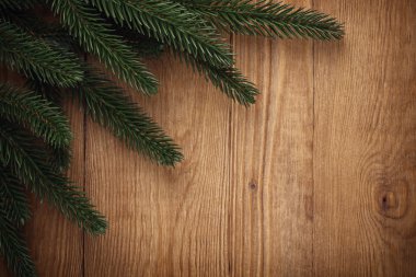 eski ahşap üzerinde Noel ağacının dalını