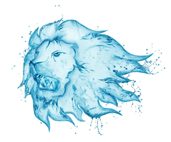 Water splash lion isolated on white background — Stock Photo, Image