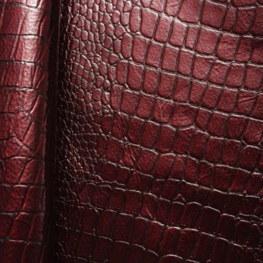 portre deri arka plan