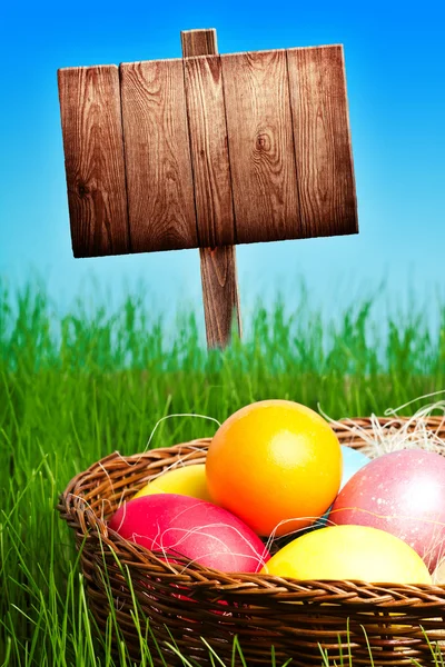 Oeufs de Pâques colorés peints dans l'herbe — Photo