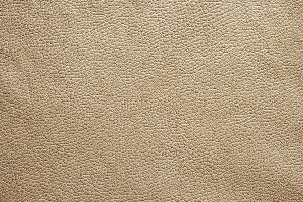 Textura de couro fundo — Fotografia de Stock