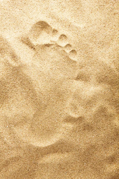 Ślady w piasku na plaży — Zdjęcie stockowe