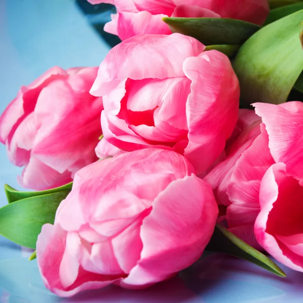 Różowe tulipany na niebieskim tle — Zdjęcie stockowe