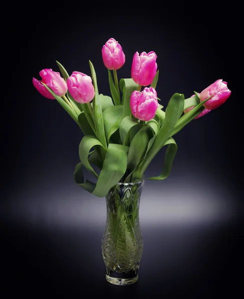 Ramo de tulipanes en jarrón de vidrio sobre fondo negro — Foto de Stock